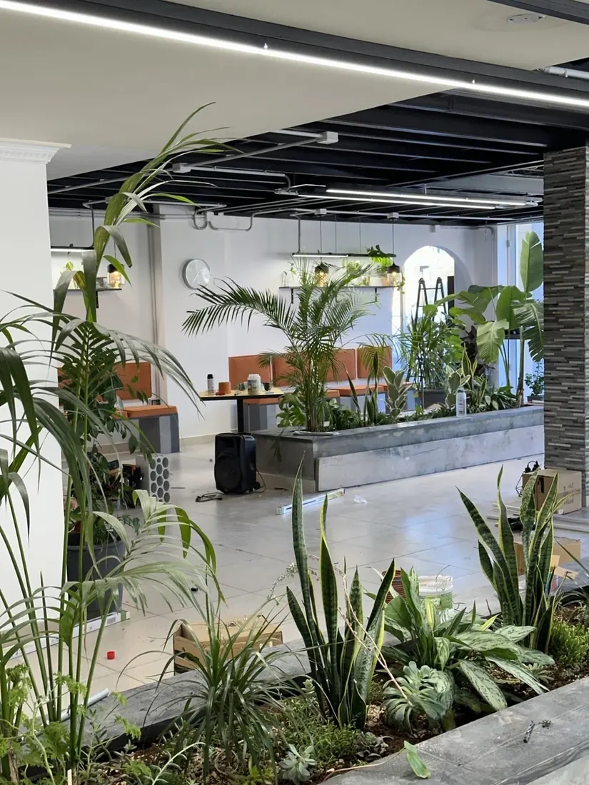 Blendz interior